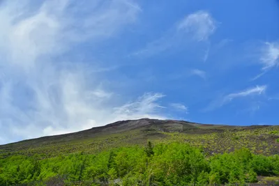 DSC_3660 (Large).JPG